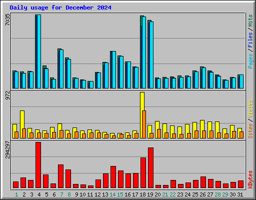 Daily usage for December 2024