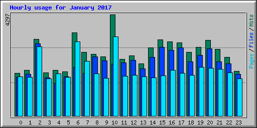 Hourly usage for January 2017