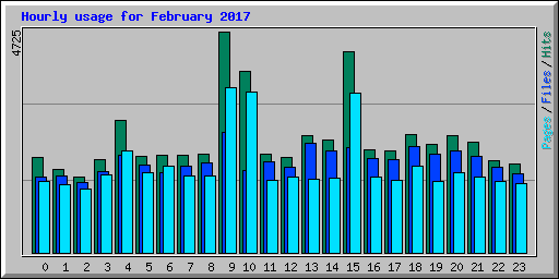 Hourly usage for February 2017