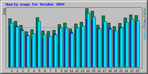 Hourly usage for October 2024