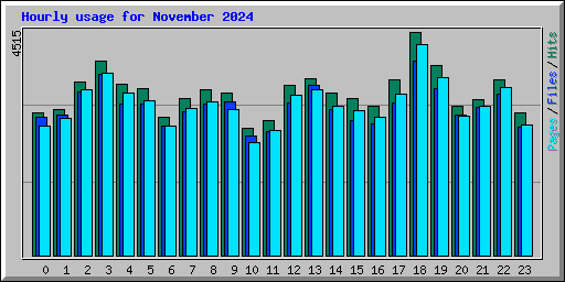 Hourly usage for November 2024