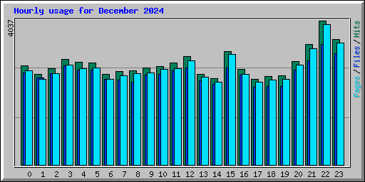 Hourly usage for December 2024