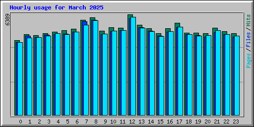 Hourly usage for March 2025