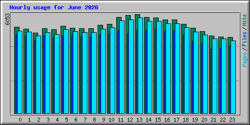 Hourly usage for June 2026